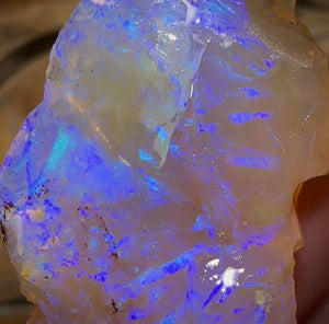 (Template) 50cts - Top Large Lightning Ridge Crystal Opal Rough Piece - Opal Whisperers