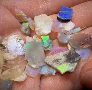 The 48.5cts - 40+ pieces Lightning Ridge Crystal Opal Rough - Opal Whisperers