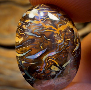 14.6cts - Top Tribal Queensland Boulder Opal from Koroit