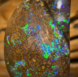 31.4cts - Yowah Nut Opal. Australian Opal