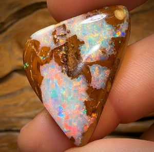 21.9cts - Top Queensland Boulder Opal Fossil Wood from Yowah. Red Multicolours!