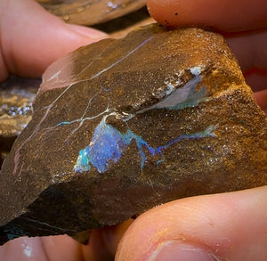 849cts - 3x Queensland Boulder Opal Rough Parcel from Winton