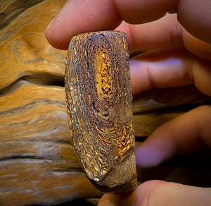 617.5cts - Tan Tribal Queensland Boulder Opal. Polished Specimen