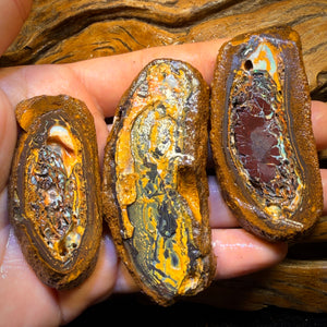 664.5cts - Tribal Yowah Nut Rough Specimen Trio