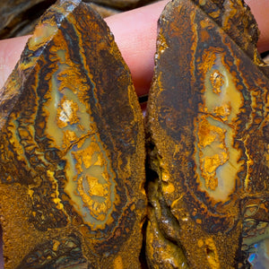 801cts - 3x Yowah Nut Crystal Centre Trio Rough Parcel. Australian Boulder Opal