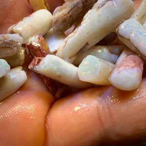 3 for $149! South Australian Fossil Belemnite Rough Opal Specimens. BULK LISTING BARGAIN