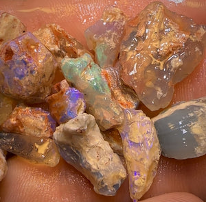 87.8cts - 22x Opalised Fossil Geological Specimens from Lightning Ridge