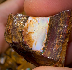 436.8cts - 12x Yowah Opal Rough Pieces. Australian Boulder Opal - Opal Whisperers