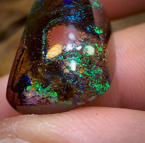 25.4cts - Koroit Nut Tribal Opal. Australian Opal - Opal Whisperers