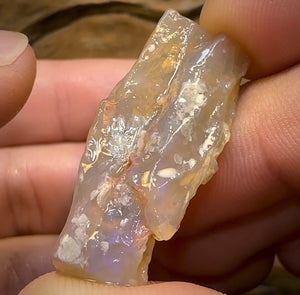 47.9cts - 2x Lightning Ridge Crystal and Dark Opal Fossil Rough Pieces - Opal Whisperers