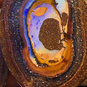 Opalfest Wildcard! 716.4cts - Rare Yowah Nut Crystal Centre Opal Specimen Pair. Polished