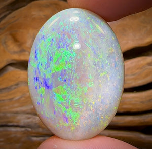 49.5cts - Large South Australian Crystal on Unique “Mother of Matrix” Multicolours!