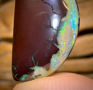 14.7cts - Yowah Nut Kernel Opal. Unique Cut