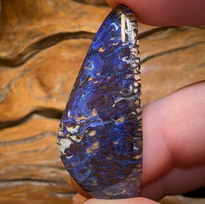 41.1cts - Koroit Nut Opal. Australian Opal - Opal Whisperers