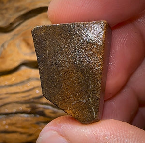 53.8cts - Australian Boulder Opal Rough Preform. Natural Split - Opal Whisperers