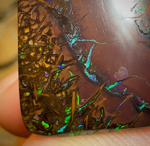 48.3cts - Tribal Pattern Electric Koroit Nut Opal - Opal Whisperers