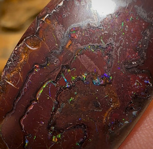 41.5cts - Queensland Boulder Opal from Koroit - Opal Whisperers