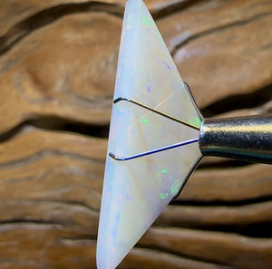 14.6cts - 35+ Yr Old GEM South Australian White Opal, Large Stone - Opal Whisperers