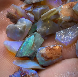 Auction Fall-Through = Your Gain! 🔥 Now More Than 50% Off RRP 🚨 58.5cts - 42x Lightning Ridge Opal Rough Parcel