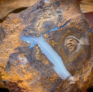 454.2cts - Large Rough Yowah Nut Opal Partial Crystal Centre - Opal Whisperers