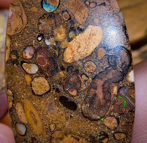 68.2cts - Big Yowah Nut Conglomerate Opal Pair BARGAIN