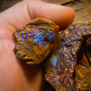 1115cts - 12x Yowah Nut Tribal Opal Rough Parcel. Australian Boulder Opal