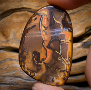 48-Hour VIP Crazy Offer 123.1cts - Tribal Queensland Boulder from Yowah Picture Stone