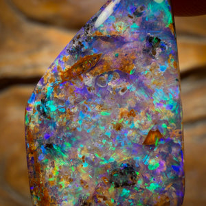 16.6cts - Gem Australian Boulder fossil replacment Opal