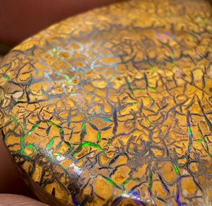 78.5cts - Intricate Tribal Pattern Yowah Nut Opal Pair - Opal Whisperers