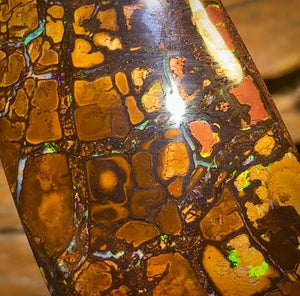 🔨 AUCTION 🔨 Reserve 💎 High Roller Banger Auction 💎 281.9cts - “Thick and Chunky” Large Tribal Yowah Nut Opal