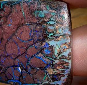 87.1cts - Australian Boulder Opal. Top Tribal - Opal Whisperers