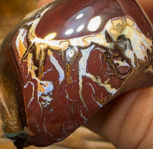 465cts - Australian Boulder Opal Specimen Tribal Nut Skin - Opal Whisperers