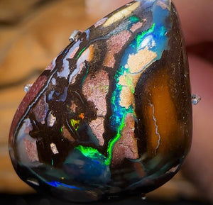 16.4cts - Top Tribal Queensland Boulder Opal from Koroit with Kernels