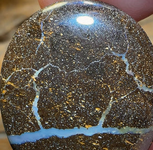 🔨 AUCTION 🔨 No Reserve 34.5cts - Queensland Boulder Seam Opal