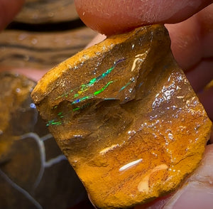 769cts - 4x Queensland Boulder Opal Rough Parcel from Winton
