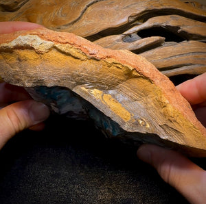 961.1g - HUGE Queensland Boulder Seam Opal Rough Specimen