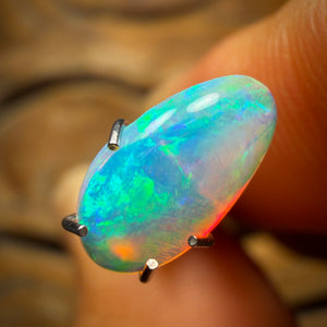 1.1cts - Polished South Australian Shell Fossil Opal