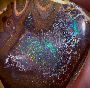 39.7cts - Queensland Boulder Opal - Opal Whisperers