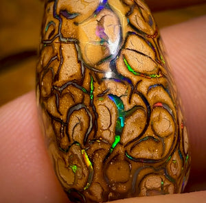 28.5cts - “Celebrity Stone” Top Tan Tribal Yowah Nut Opal. Featured on “Outback Opal Hunters”!