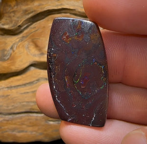 41.5cts - Queensland Boulder Opal from Koroit - Opal Whisperers