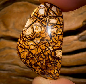 🔨 AUCTION 🔨 20.3cts - Yowah Nut Top Tribal Pattern Opal