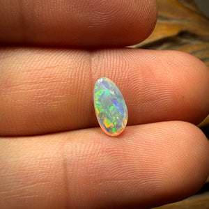 1.1cts - Polished South Australian Shell Fossil Opal