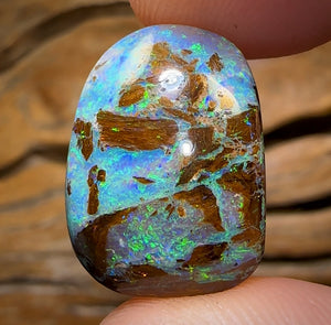 14.8cts - GEM Australian Boulder Wood Fossil Opal