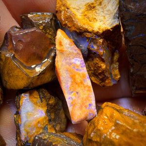 302.1cts - 13x Yowah Nut Rough Opal Parcel. Australian Boulder Opal
