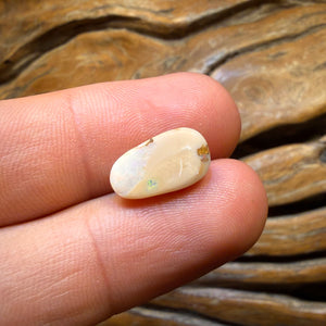 3.6cts - WILD CARD! Australian Boulder Opal from Yowah