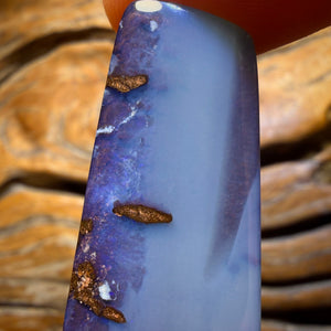 Roadshow Card! 40.7cts - Queensland Boulder Seam Opal from Winton