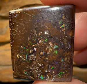 39.7cts - Queensland Boulder Opal from Koroit - Opal Whisperers