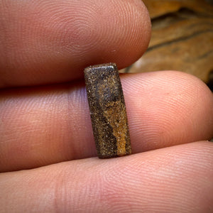 2.6cts - Queensland Boulder Seam Opal