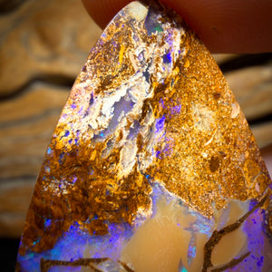 31.6cts - Top Australian Boulder Pipe Opal Picture Stone from Yowah