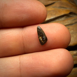 🔨 AUCTION 🔨 0.6cts - Queensland Boulder Seam Opal. Australian Opal